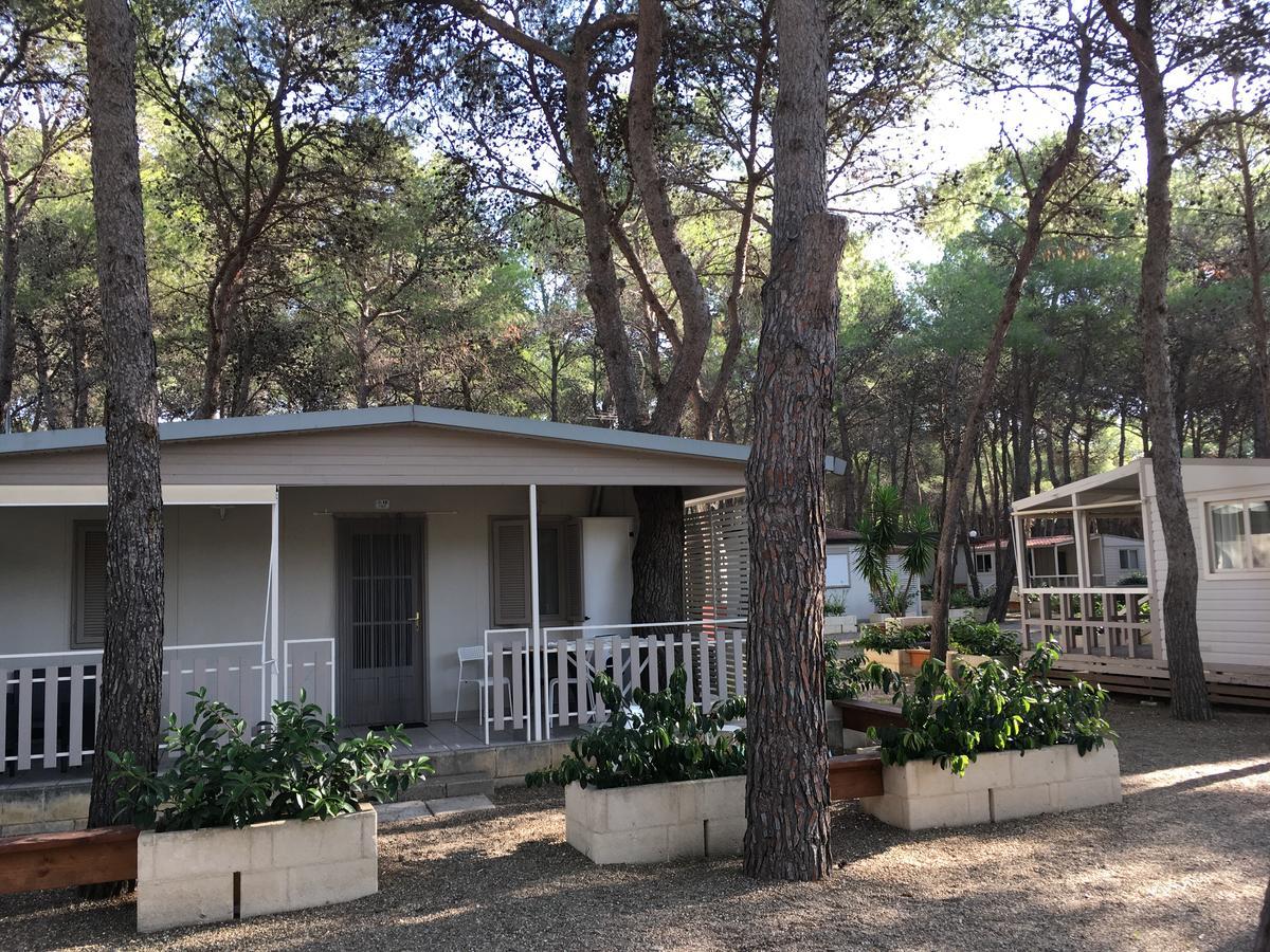 Riva Dei Greci Camping Village Metaponto Luaran gambar