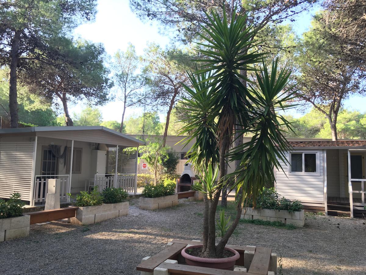 Riva Dei Greci Camping Village Metaponto Luaran gambar